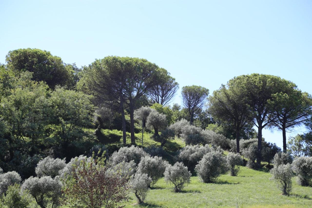 La Masseria Pietramarmo Caiazzo - App To Con Vista Zewnętrze zdjęcie